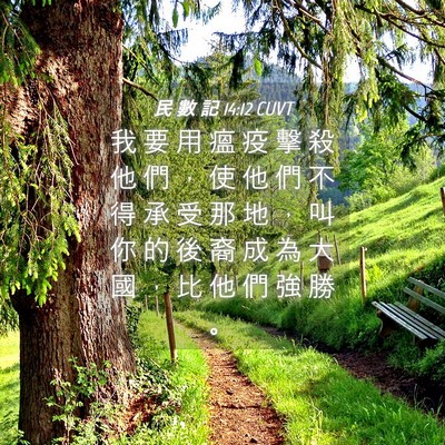 Picture 04 - 民 數 記 14:12 CUVT - 我 要 用 瘟 疫 擊 殺 他 們 ， 使 他 - Bible Verse Picture