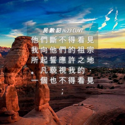 Picture 04 - 民 數 記 14:23 CUVT - 他 們 斷 不 得 看 見 我 向 他 們 的 - Bible Verse Picture