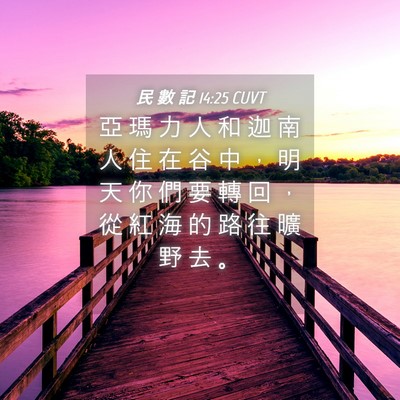 Picture 04 - 民 數 記 14:25 CUVT - 亞 瑪 力 人 和 迦 南 人 住 在 谷 中 - Bible Verse Picture