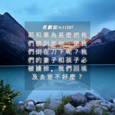 Picture 04 - 民 數 記 14:3 CUVT - 耶 和 華 為 甚 麼 把 我 們 領 到 那 - Bible Verse Picture