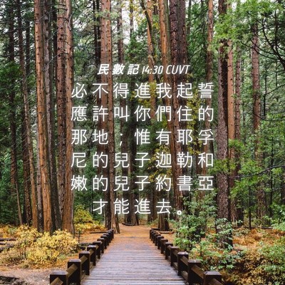 Picture 04 - 民 數 記 14:30 CUVT - 必 不 得 進 我 起 誓 應 許 叫 你 們 - Bible Verse Picture