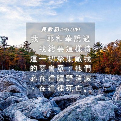 Picture 04 - 民 數 記 14:35 CUVT - 我 ─ 耶 和 華 說 過 ， 我 總 要 這 - Bible Verse Picture