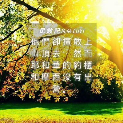 Picture 04 - 民 數 記 14:44 CUVT - 他 們 卻 擅 敢 上 山 頂 去 ， 然 而 - Bible Verse Picture