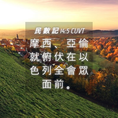 Picture 04 - 民 數 記 14:5 CUVT - 摩 西 、 亞 倫 就 俯 伏 在 以 色 列 - Bible Verse Picture