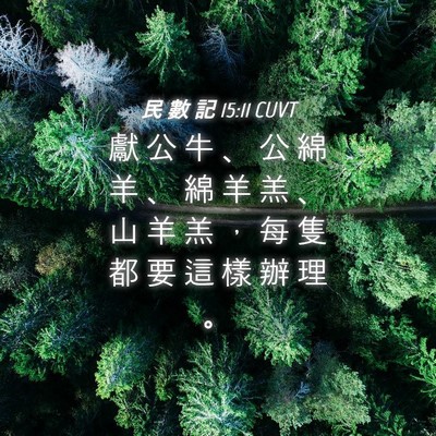 Picture 04 - 民 數 記 15:11 CUVT - 獻 公 牛 、 公 綿 羊 、 綿 羊 羔 、 - Bible Verse Picture