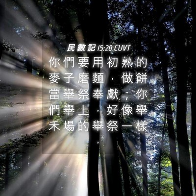 Picture 04 - 民 數 記 15:20 CUVT - 你 們 要 用 初 熟 的 麥 子 磨 麵 ， - Bible Verse Picture