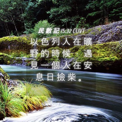 Picture 04 - 民 數 記 15:32 CUVT - 以 色 列 人 在 曠 野 的 時 候 ， 遇 - Bible Verse Picture