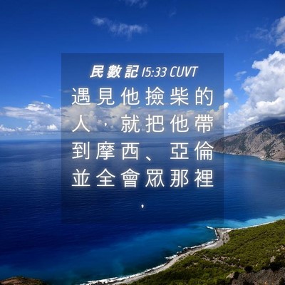 Picture 04 - 民 數 記 15:33 CUVT - 遇 見 他 撿 柴 的 人 ， 就 把 他 帶 - Bible Verse Picture