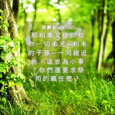 Picture 04 - 民 數 記 16:10 CUVT - 耶 和 華 又 使 你 和 你 一 切 弟 兄 - Bible Verse Picture