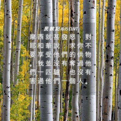 Picture 04 - 民 數 記 16:15 CUVT - 摩 西 就 甚 發 怒 ， 對 耶 和 華 說 - Bible Verse Picture