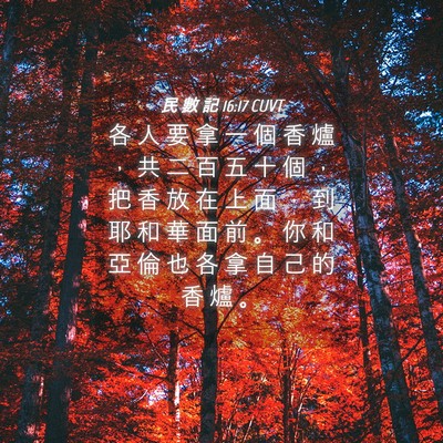 Picture 04 - 民 數 記 16:17 CUVT - 各 人 要 拿 一 個 香 爐 ， 共 二 百 - Bible Verse Picture