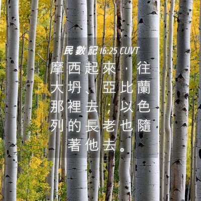 Picture 04 - 民 數 記 16:25 CUVT - 摩 西 起 來 ， 往 大 坍 、 亞 比 蘭 - Bible Verse Picture