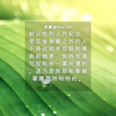 Picture 04 - 民 數 記 16:40 CUVT - 給 以 色 列 人 作 紀 念 ， 使 亞 倫 - Bible Verse Picture