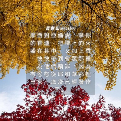 Picture 04 - 民 數 記 16:46 CUVT - 摩 西 對 亞 倫 說 ： 拿 你 的 香 爐 - Bible Verse Picture