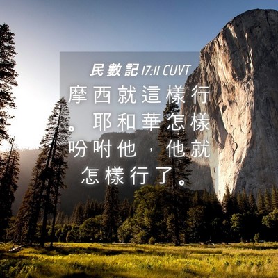 Picture 04 - 民 數 記 17:11 CUVT - 摩 西 就 這 樣 行 。 耶 和 華 怎 樣 - Bible Verse Picture
