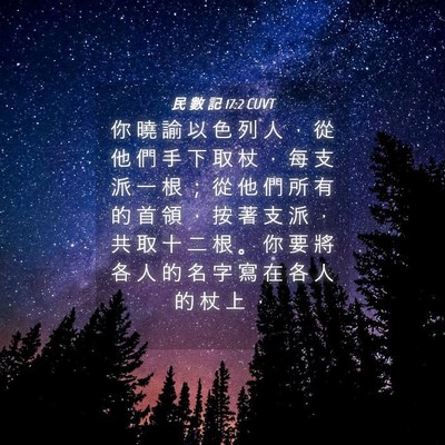 Picture 04 - 民 數 記 17:2 CUVT - 你 曉 諭 以 色 列 人 ， 從 他 們 手 - Bible Verse Picture