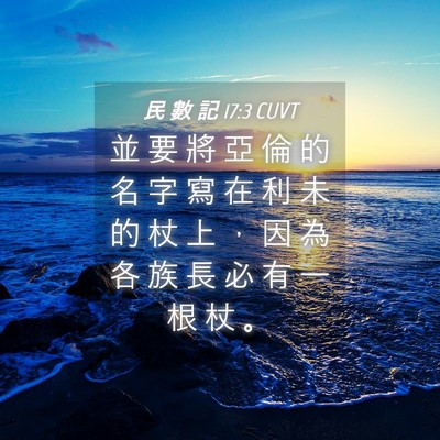 Picture 04 - 民 數 記 17:3 CUVT - 並 要 將 亞 倫 的 名 字 寫 在 利 未 - Bible Verse Picture