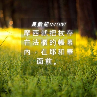 Picture 04 - 民 數 記 17:7 CUVT - 摩 西 就 把 杖 存 在 法 櫃 的 帳 幕 - Bible Verse Picture
