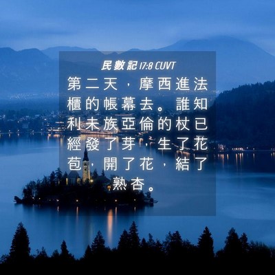 Picture 04 - 民 數 記 17:8 CUVT - 第 二 天 ， 摩 西 進 法 櫃 的 帳 幕 - Bible Verse Picture