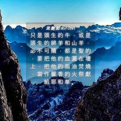 Picture 04 - 民 數 記 18:17 CUVT - 只 是 頭 生 的 牛 ， 或 是 頭 生 的 - Bible Verse Picture