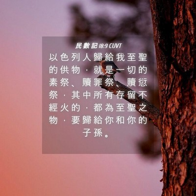 Picture 04 - 民 數 記 18:9 CUVT - 以 色 列 人 歸 給 我 至 聖 的 供 物 - Bible Verse Picture