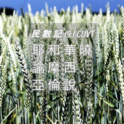 Picture 04 - 民 數 記 19:1 CUVT - 耶 和 華 曉 諭 摩 西 、 亞 倫 說 - Bible Verse Picture