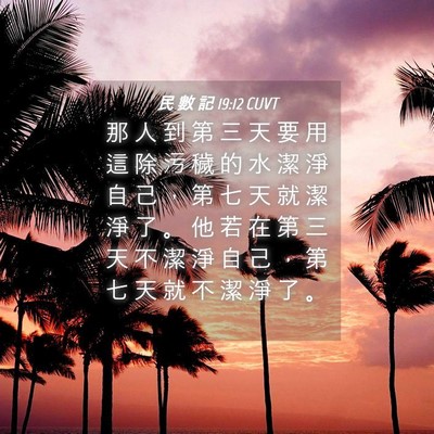 Picture 04 - 民 數 記 19:12 CUVT - 那 人 到 第 三 天 要 用 這 除 污 穢 - Bible Verse Picture