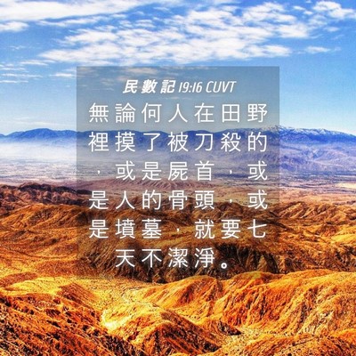 Picture 04 - 民 數 記 19:16 CUVT - 無 論 何 人 在 田 野 裡 摸 了 被 刀 - Bible Verse Picture