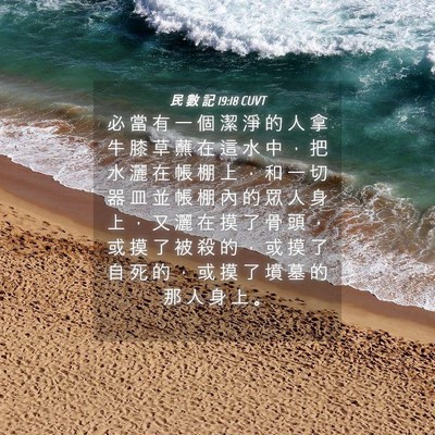 Picture 04 - 民 數 記 19:18 CUVT - 必 當 有 一 個 潔 淨 的 人 拿 牛 膝 - Bible Verse Picture
