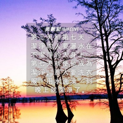 Picture 04 - 民 數 記 19:19 CUVT - 第 三 天 和 第 七 天 ， 潔 淨 的 人 - Bible Verse Picture
