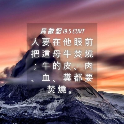 Picture 04 - 民 數 記 19:5 CUVT - 人 要 在 他 眼 前 把 這 母 牛 焚 燒 - Bible Verse Picture