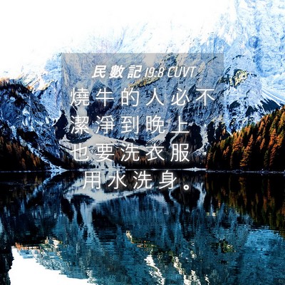 Picture 04 - 民 數 記 19:8 CUVT - 燒 牛 的 人 必 不 潔 淨 到 晚 上 ， - Bible Verse Picture