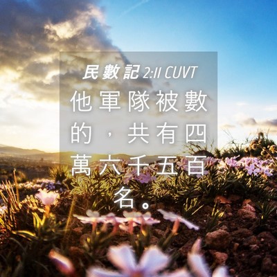 Picture 04 - 民 數 記 2:11 CUVT - 他 軍 隊 被 數 的 ， 共 有 四 萬 六 - Bible Verse Picture