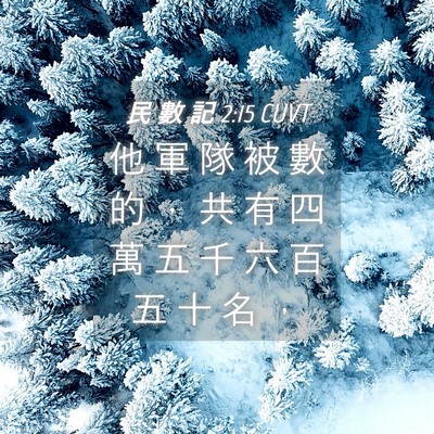 Picture 04 - 民 數 記 2:15 CUVT - 他 軍 隊 被 數 的 ， 共 有 四 萬 五 - Bible Verse Picture
