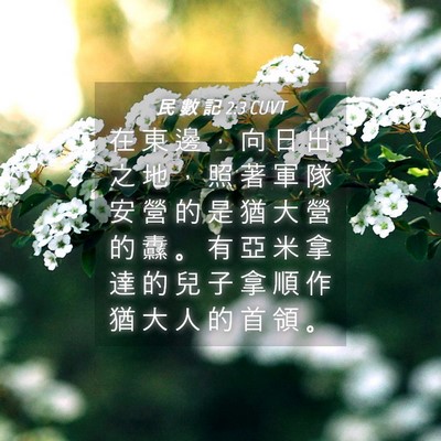 Picture 04 - 民 數 記 2:3 CUVT - 在 東 邊 ， 向 日 出 之 地 ， 照 著 - Bible Verse Picture