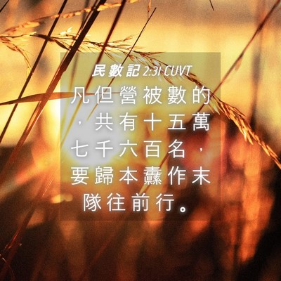 Picture 04 - 民 數 記 2:31 CUVT - 凡 但 營 被 數 的 ， 共 有 十 五 萬 - Bible Verse Picture
