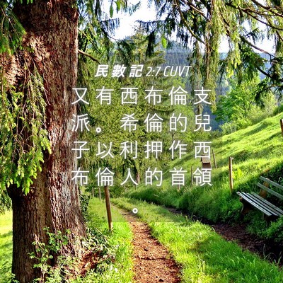 Picture 04 - 民 數 記 2:7 CUVT - 又 有 西 布 倫 支 派 。 希 倫 的 兒 - Bible Verse Picture