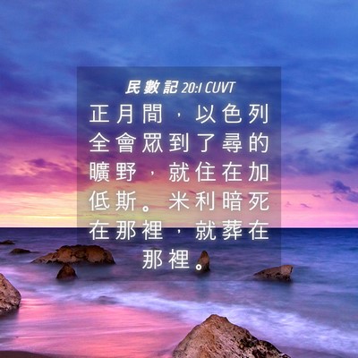Picture 04 - 民 數 記 20:1 CUVT - 正 月 間 ， 以 色 列 全 會 眾 到 了 - Bible Verse Picture
