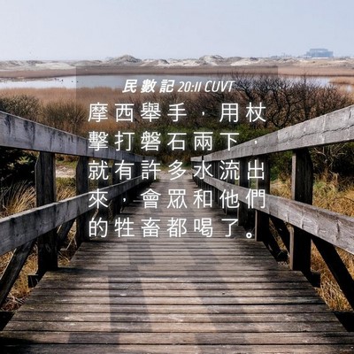 Picture 04 - 民 數 記 20:11 CUVT - 摩 西 舉 手 ， 用 杖 擊 打 磐 石 兩 - Bible Verse Picture