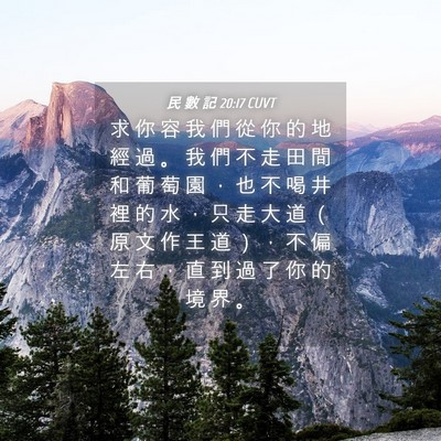 Picture 04 - 民 數 記 20:17 CUVT - 求 你 容 我 們 從 你 的 地 經 過 。 - Bible Verse Picture