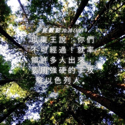 Picture 04 - 民 數 記 20:20 CUVT - 以 東 王 說 ： 你 們 不 可 經 過 ！ - Bible Verse Picture