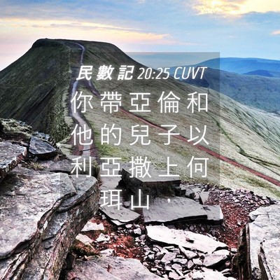 Picture 04 - 民 數 記 20:25 CUVT - 你 帶 亞 倫 和 他 的 兒 子 以 利 亞 - Bible Verse Picture