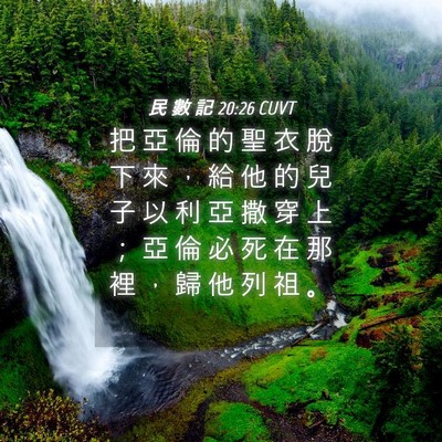 Picture 04 - 民 數 記 20:26 CUVT - 把 亞 倫 的 聖 衣 脫 下 來 ， 給 他 - Bible Verse Picture