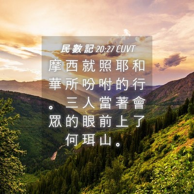 Picture 04 - 民 數 記 20:27 CUVT - 摩 西 就 照 耶 和 華 所 吩 咐 的 行 - Bible Verse Picture
