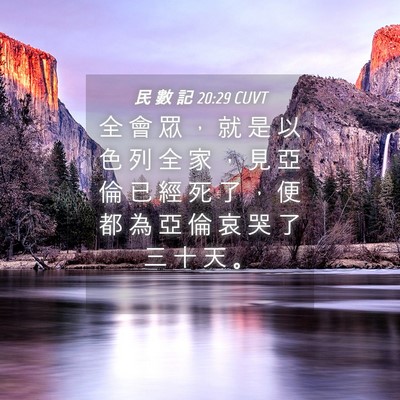 Picture 04 - 民 數 記 20:29 CUVT - 全 會 眾 ， 就 是 以 色 列 全 家 ， - Bible Verse Picture