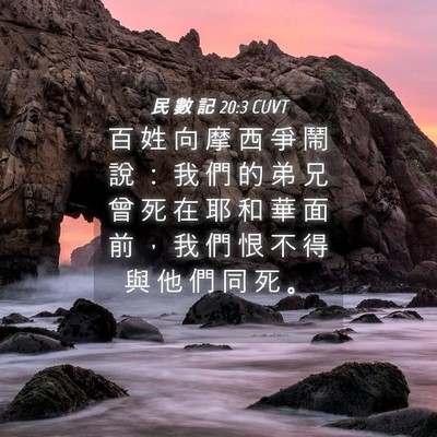 Picture 04 - 民 數 記 20:3 CUVT - 百 姓 向 摩 西 爭 鬧 說 ： 我 們 的 - Bible Verse Picture