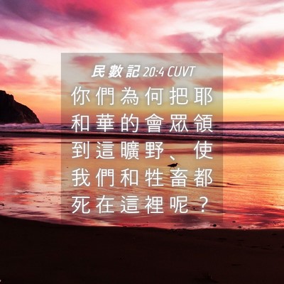 Picture 04 - 民 數 記 20:4 CUVT - 你 們 為 何 把 耶 和 華 的 會 眾 領 - Bible Verse Picture