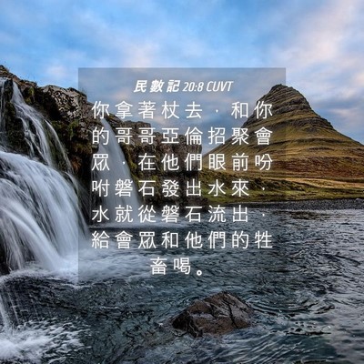 Picture 04 - 民 數 記 20:8 CUVT - 你 拿 著 杖 去 ， 和 你 的 哥 哥 亞 - Bible Verse Picture