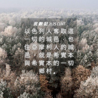 Picture 04 - 民 數 記 21:25 CUVT - 以 色 列 人 奪 取 這 一 切 的 城 邑 - Bible Verse Picture