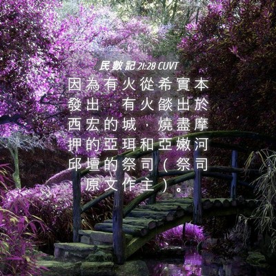 Picture 04 - 民 數 記 21:28 CUVT - 因 為 有 火 從 希 實 本 發 出 ， 有 - Bible Verse Picture